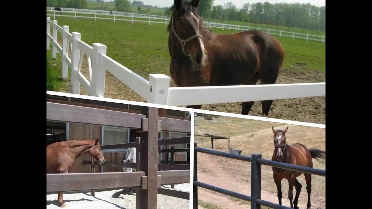 Moderne Koppelzäune aus Kunststoff