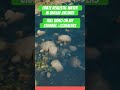 Unreal Engine 5 - create Realistic Water Material Full Tutorial