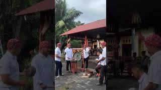 Download Lagu cakalele Tobelo MP3