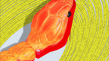 Snake Clash! .io - MAX LEVEL! Epic Snake Clash.io Gameplay! #snakeclash 