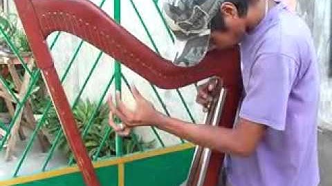 Poor Man Playing Harp