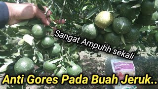 Fungisida Pelapis Buah Jeruk Dari Serangan Hama Dan Jamur