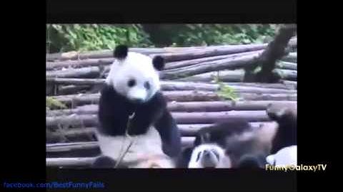 Best Fails Wins and Funny pranks compilation Part 5