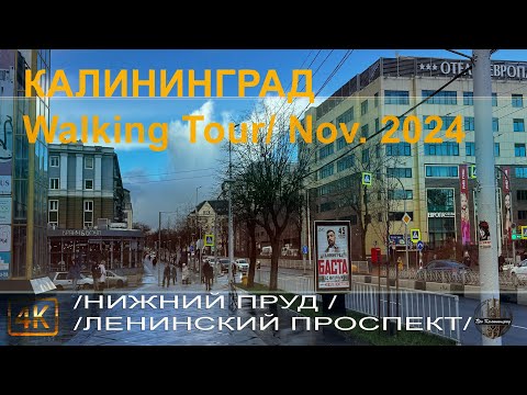 도시 산책 4K | 2024년 11월 20일
