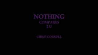 Chris Cornell - 'Nothing Compares 2 U' Prince Cover