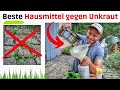 Unkrautvernichter selber herstellen 🌿 ANLEITUNG I Unkraut mit Hausmitteln bekämpfen.