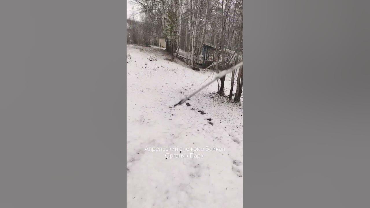 Апрельский снежок в Байкал Органик Парк - YouTube