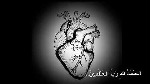 اجمل حالات واتس اب دينية سورة الكهف تلاوة خاشعة #الكهف #دينية #واتس #حالة  #قران