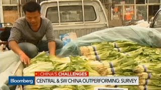 New Survey Finds a Broad-Based Recovery for China New Survey Finds a Broad-Based Recovery for China