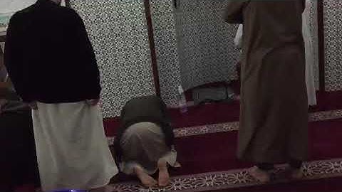 تلاوة هادئة لبرعم من براعم بني مراد 😍 دعواتكم له بحفظ كتاب الله