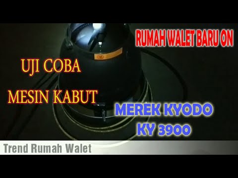 Video: Kabut Tidak Dalam HD, Memiliki Pemasangan 4GB