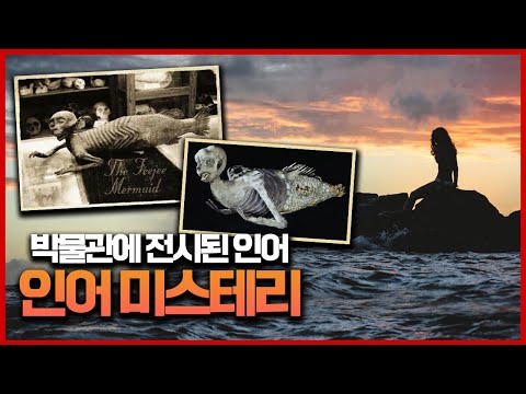 【박물관에 &amp;#39;<strong>실존</strong>&amp;#39;하는 <strong>인어</strong> 미스테리】 멸종했을까, 아직 존재하는 것일까, 아니면, 모두 거짓일까ㅣ 일요미스테리