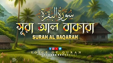 Surah Al-Baqarah (سورة البقرة) | সূরা আল-বাকারা | শক্তিশালী কুরআনের তেলাওয়াত | Voice Of Quran