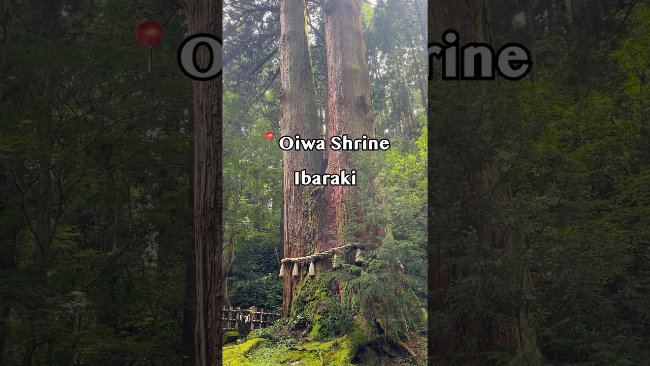 ⛩️🌲 Oiwa Shrine（御岩神社 – 茨城）