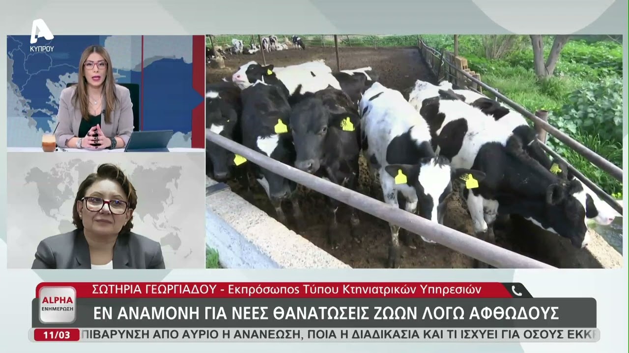 Κτηνιατρικές Υπηρεσίες για αφθώδη πυρετό | AlphaNews Live