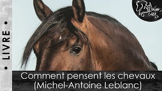 Livre "Comment Pensent Les Chevaux ?" - Vigot vidéo