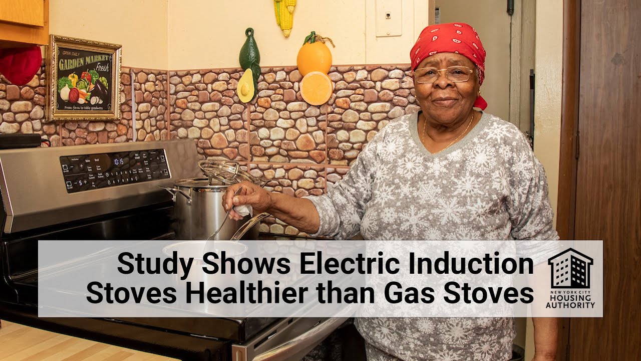 Switching From Gas to Induction Stoves Leads to Major Drop in Indoor Air  Pollution in Bronx Pilot Program - EcoWatch