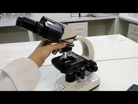 Vídeo: Como Olhar Através De Um Microscópio