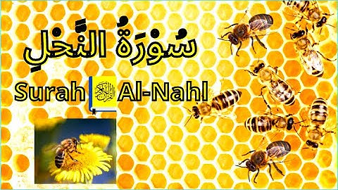 Surah Al-Nahl / سورة النحل / بصوت هادئ😌 يريح النفس