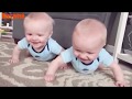 Funny Twin Babies Playing-Part2