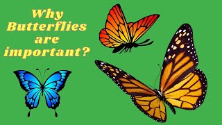 Why are Butterflies important?   What is the purpose of a butterfly?