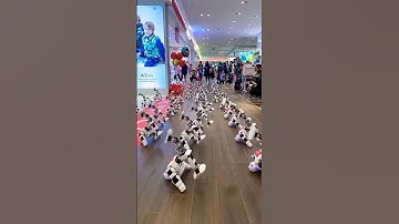 Small Robot Show ( NAO)