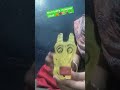 #jinatazim #viral #bottle makeover #viralsong#aankh ladi badobadi