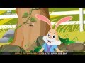 Edewcate english rhymes - Little peter Rabbit