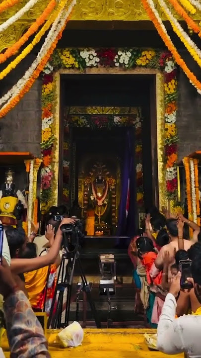 Vaikuntha Ekadashi Sri Venkateshwara swamy darshanam♥️