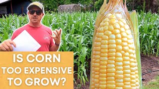 WE GREW 1,000 EARS OF CORN FOR $35!