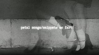 ariana grande - all petal songs/snippets so far!!