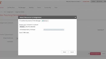 LiveText Annotated Video Tutorial