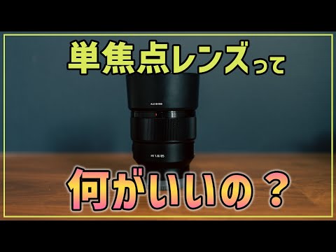 初心者OK】単焦点レンズって何がいいの？メリットとデメリット