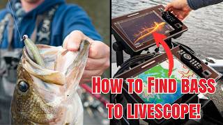 How to Find Bass To LiveScope FAST! (Livescope Tutorial)