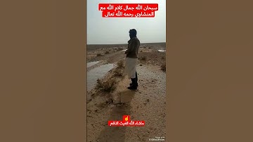 هاوي الخرجات الصحراوية قناة 2 / إبداع الجوهرة الذهبية القارئ الأسطوري محمد صديق المنشاوي رحمه الله 😢