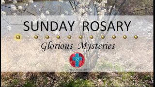 Sunday Rosary • Glorious Mysteries of the Rosary ❤️ April 28, 2024 VIRTUAL ROSARY - MEDITATION