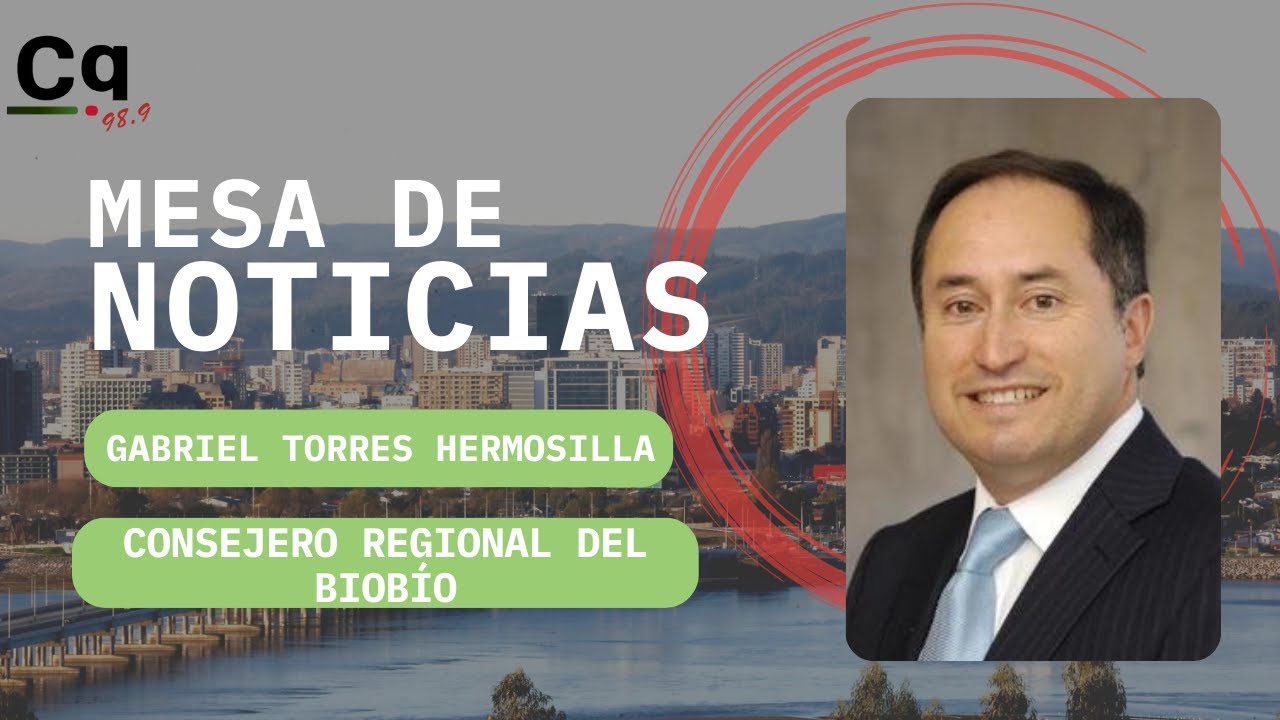 maxresdefault Gabriel Torres Hermosilla Consejero Regional del Biobío