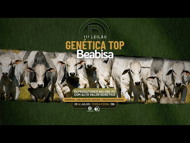 LOTE 50