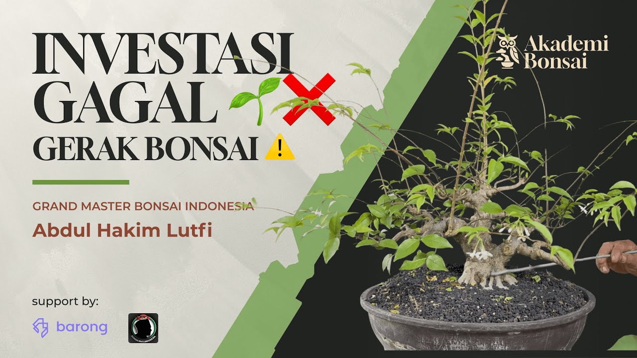 Rahasia Bonsai Mahal: Gerak Batang & Cabang yang Benar