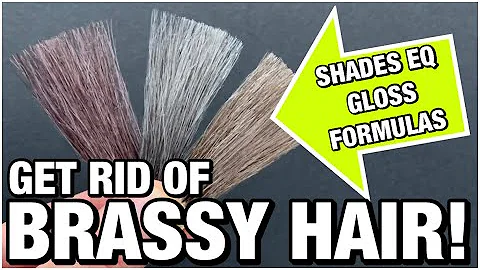 NO MORE BRASSY HAIR! 3 Shades Eq Gloss formulas you NEED to know about, a hair color share