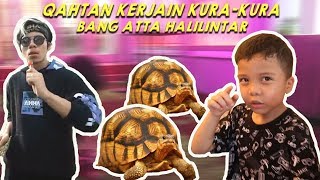 Baby Qahtan Kerjain Kura-kuranya Bang Atta Halilintar!