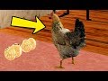 GTA SAN ANDREAS ANIMAL MODS