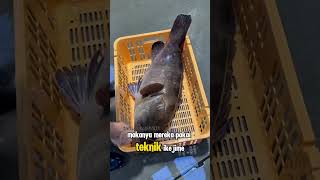 This Japanese Technique Makes Fish More Expensive