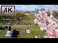 London Walk GREENWICH PARK to BLACKHEATH [ft. Cherry Blossom] | Spring 2021 after lockdown