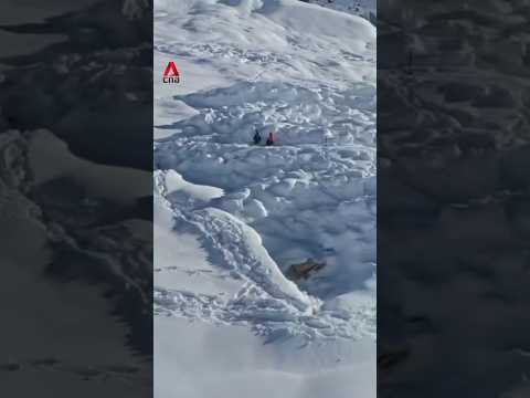 2 dead, 14 missing after Nepal avalanche buries Himalayan base camp