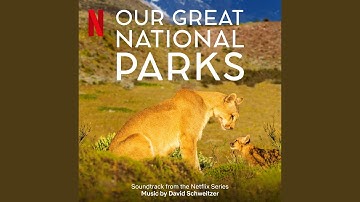 Problems and Solutions