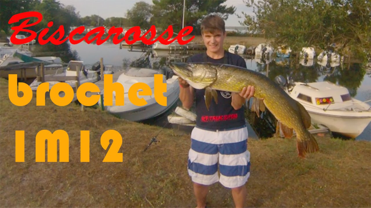 Gros Brochet 1m12 / une semaine à Biscarosse