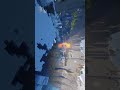 美しすぎる世界 #shorts