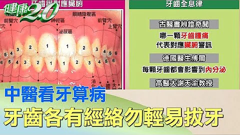 中医看牙算病 每颗牙齿各有经络勿轻易拔牙 健康2.0 - 天天要闻