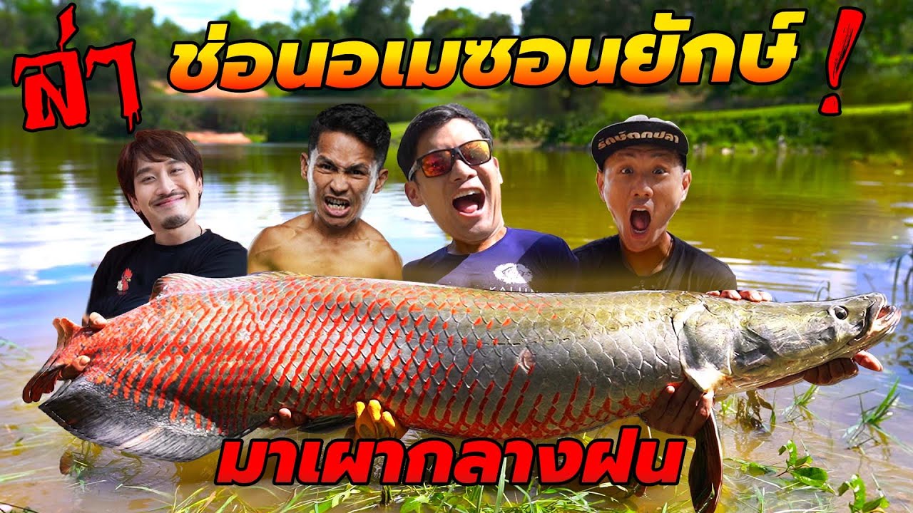 ล่าช่อนอเมซอนยักษ์! ทำช่อนลอดถ้ำแต่ดันเจอพายุฝน!!  feat.Foei,bangkokhooker,Superbon [คนหลงรส EP.137]